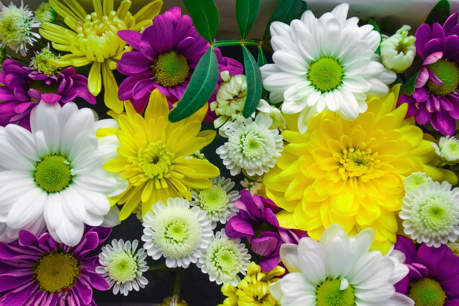 How to help fresh flowers last beautifully